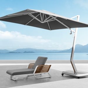 Parasol WING
